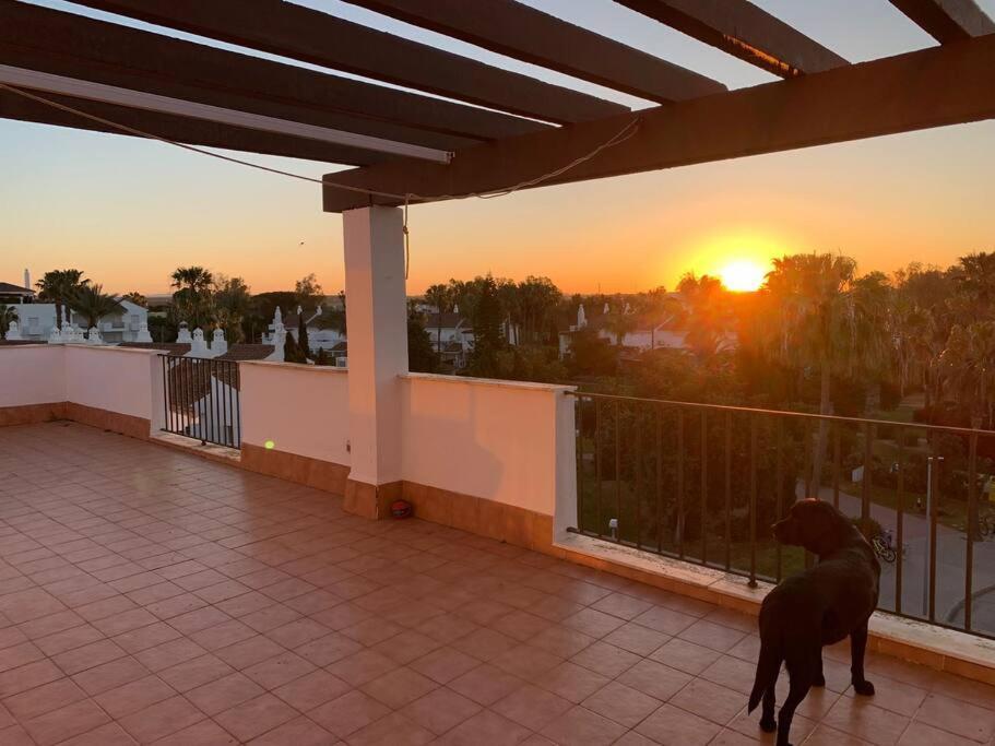 Atico Costa Ballena - Cadiz ロタ エクステリア 写真